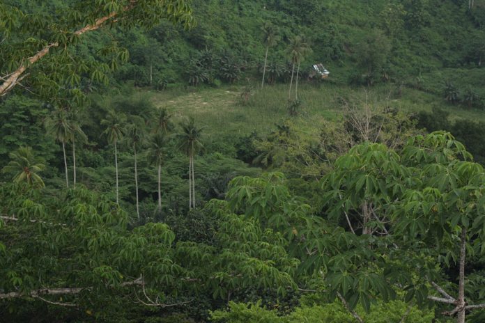 sulawesi_indonesia_regnskog_100720