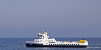 Elferger setter stadig nye rekorder