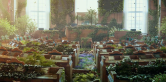 Vil ha mer til natur i statsbudsjettet: “Danmarks natur er i en fortvilende dårlig tilstand”