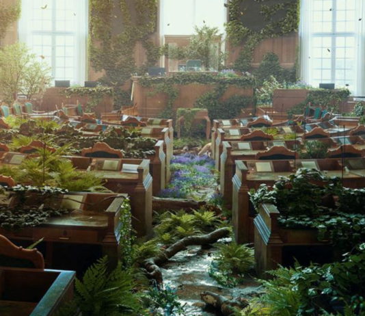 Vil ha mer til natur i statsbudsjettet: “Danmarks natur er i en fortvilende dårlig tilstand”