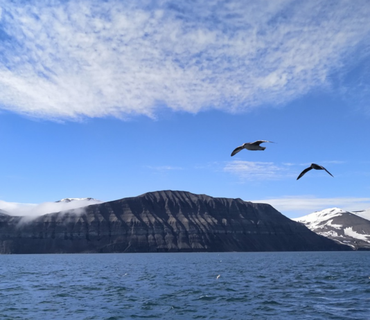 Kaldt vann rett i åra