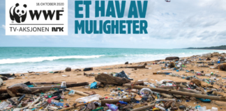 Kun digital innsamling i år: TV-aksjonen mot plast i havet blir uten bøssebærere