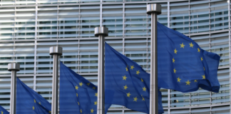 Norske grønne prosjekter kan få Enova-dytt når de søker EU-midler