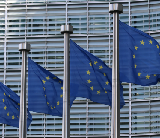 Norske grønne prosjekter kan få Enova-dytt når de søker EU-midler