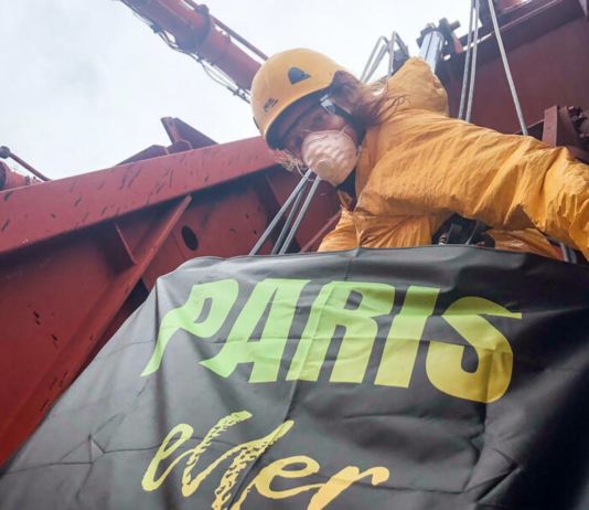 Greenpeace-aktivistene ble arrestert, etter å ha klatret opp i havnekranene