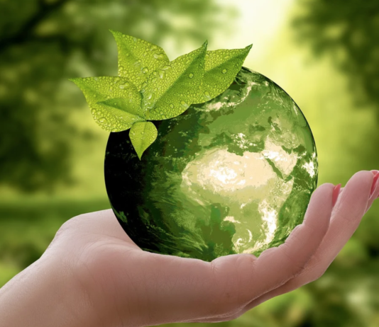 Nå har 123 virksomheter signert Grønnvaskingsplakaten. Se komplett liste