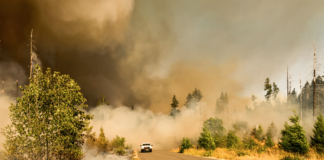 CO2-utslippene fra branner i Arktis økte voldsomt i sommer