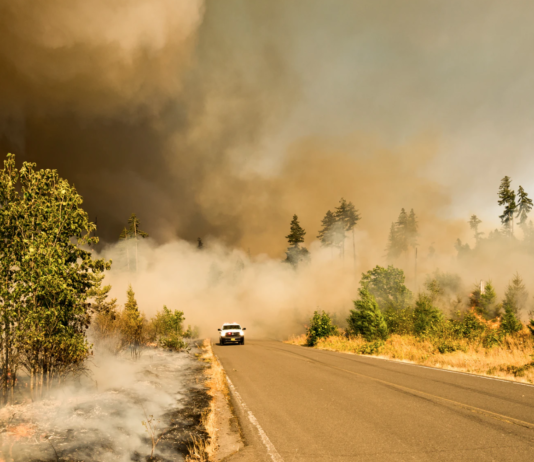 CO2-utslippene fra branner i Arktis økte voldsomt i sommer