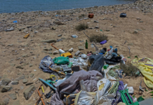 SAKEN ER OPPDATERT: “Vi tror strandsøppelet kommer fra utlandet. Det er helt feil”