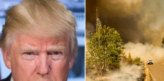 Trump har ikke kommentert historiske branner i USA på tre uker