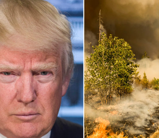 Trump har ikke kommentert historiske branner i USA på tre uker