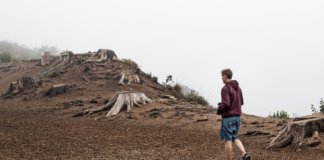 FNs naturpanel: Hyppigere og mer alvorlige pandemier om vi ikke beskytter naturen