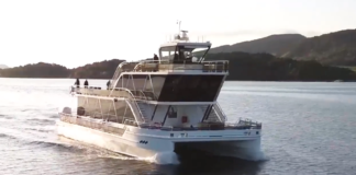 Norge er 53 % elektrifisert, det er bare 2 prosentpoeng mer enn i 2018