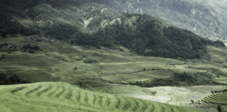 Forskere slår alarm: Lystgassutslipp øker kraftig – den store skurken er nitrogengjødsling