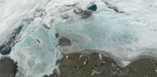 Forskere er bekymret: Metanfunn i arktisk hav kan varsle farlig tilbakekobling