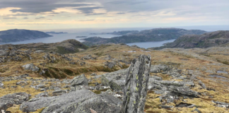 Om TrønderEnergi, kulturminner og en fordummende kultur som kommer til å kvele oss alle