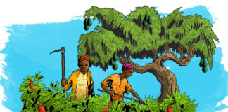 Eksperter peker på økologisk landbruk i kampen mot sult