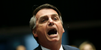 Amazonas-avskoging: Regjeringen i Brasil tas til Høyesterett