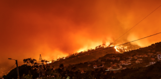 Jorden brenner. Hvordan lever du egentlig med det?