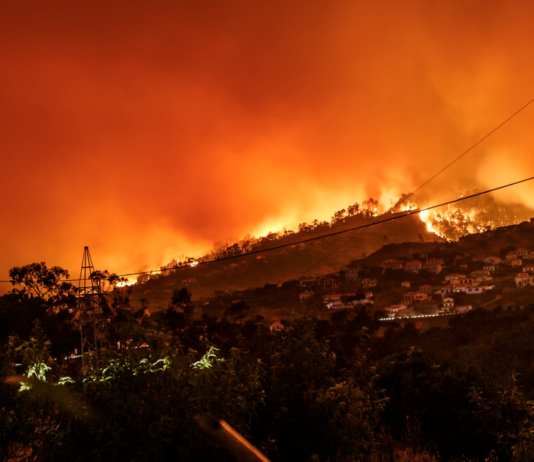 Jorden brenner. Hvordan lever du egentlig med det?