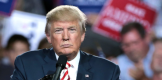 Trump om tiltak for å kutte utslipp: – Grønn svindel