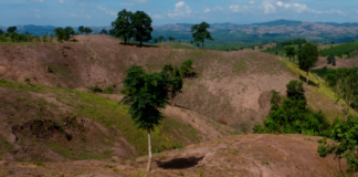 Sivilisasjonen vår fjerner mer og mer natur – og det peker tilbake på kjøttspising