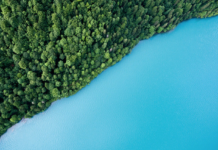 A-listen er klar: Seks nye norske selskap inn på CDPs toppliste