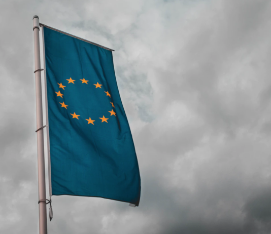 Hvem sitter på den grønne gren; Europa eller Norge?