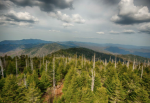 Slutt på sur nedbør: Verdens luft er mer svovelfri