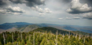 Slutt på sur nedbør: Verdens luft er mer svovelfri