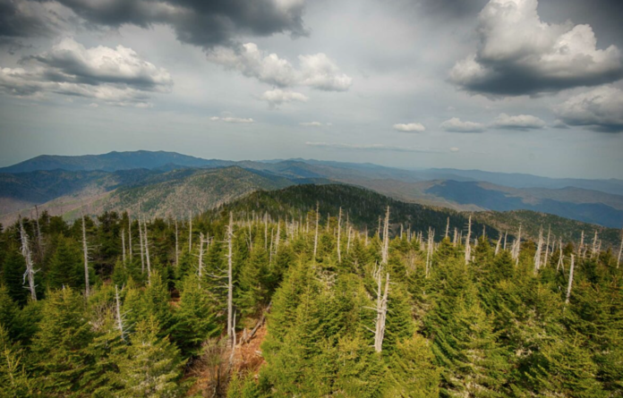 great_smoky_mountains_081220