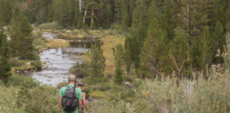 10 minutter ute i naturen er nok til å redusere stress
