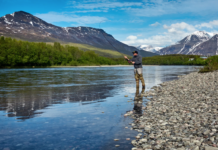 Rømt oppdrettslaks har ført til store genetiske endringer på villaksen i 1 av 4 nasjonale laksevassdrag
