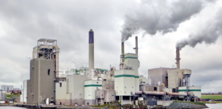 En av årets første klimanyheter er en “gladsak”