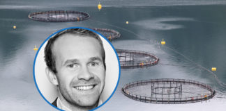 Enorme skjulte kostnader ved lakseoppdrett, ifølge ny rapport. “Aktivisme forkledd som analyse”, svarer Sjømat Norge