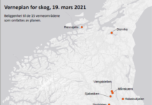I Vestland, Innlandet og Trøndelag: Nye 26 km2 skog får vern