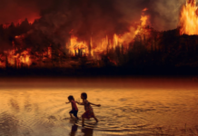 Menneskelig aktivitet skaper kaos: Nå tror forskerne at Amazonas som helhet bidrar til global oppvarming