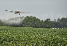 Biden presser Colombia til å gjenoppta program for glyfosatsprøyting