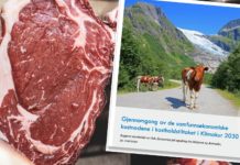 Matprat bestilte «motrapport» etter regjeringens Klimakur – argumenterer mot helsemyndighetene