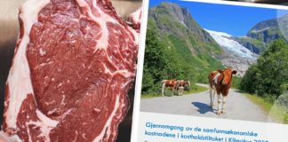 Matprat bestilte «motrapport» etter regjeringens Klimakur – argumenterer mot helsemyndighetene