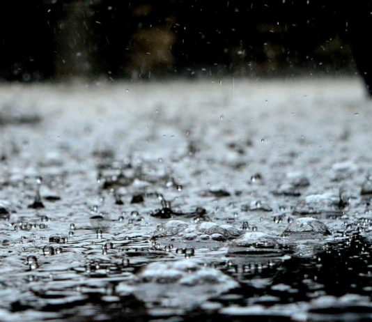 Klimatrusler: 6 av 10 bønder er mest redde for følgene av mer nedbør