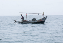 Fiskebestanden rundt ekvator minker på grunn av klimaendringene