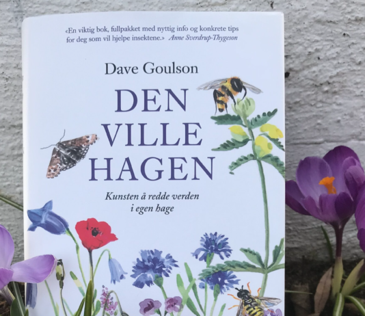 Hva om du kunne redde verden i hagen?