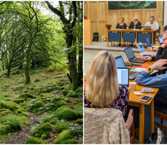 – Inni granskauen mye liberalisering