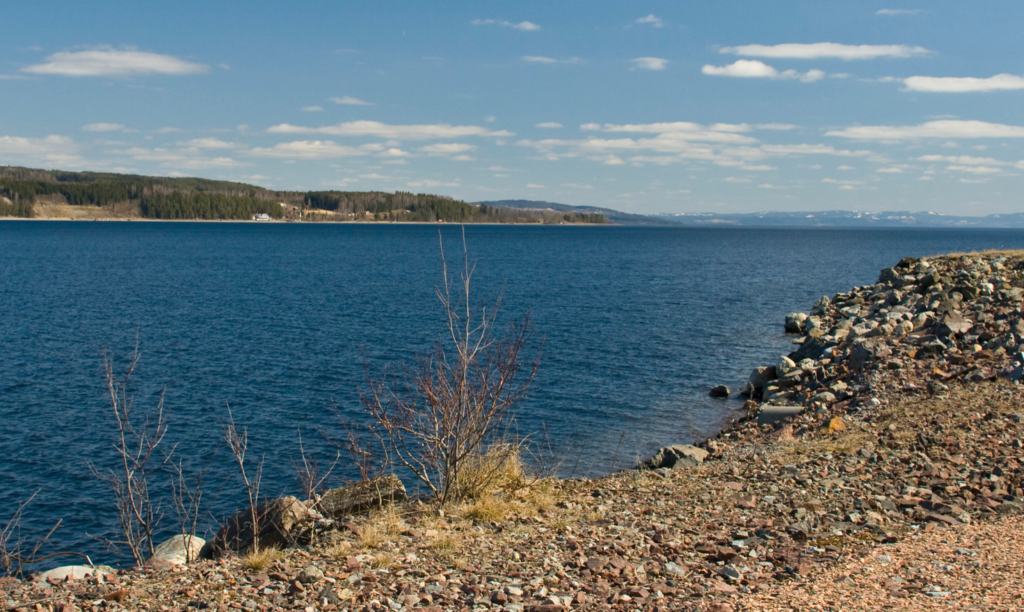 Tre av fire målestasjoner i Mjøsa viste god tilstand i 2020 - Naturpress