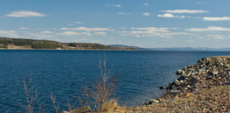 Tre av fire målestasjoner i Mjøsa viste god tilstand i 2020