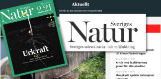 Sveriges Natur er gjenganger i Guldspaden, Sveriges SKUP