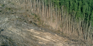 Mennesker over hele verden forstår i økende grad at vi har en naturkrise