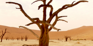 Lekket fra IPCC: Ny klimarapport tegner opp en mørk framtid