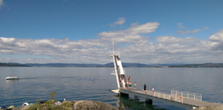 MD sier: – Oslofjorden trenger strakstiltak. Miljøeksperter mener regjeringens redningsplan er menneskesentrert